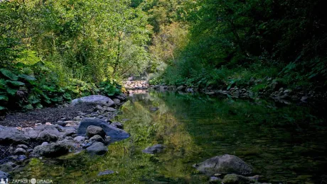 River and canyon Trešnjice