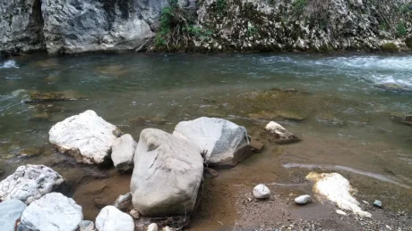 Roman bridge