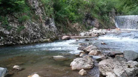 Roman bridge