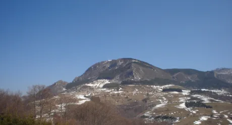 Mountain Bobija