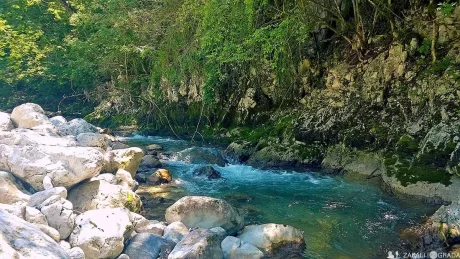 River and canyon Trešnjice